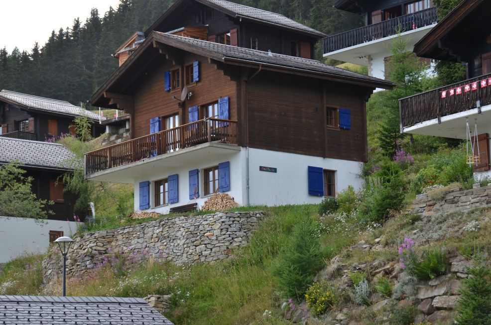 Chalet Moorvogel Seitenansicht