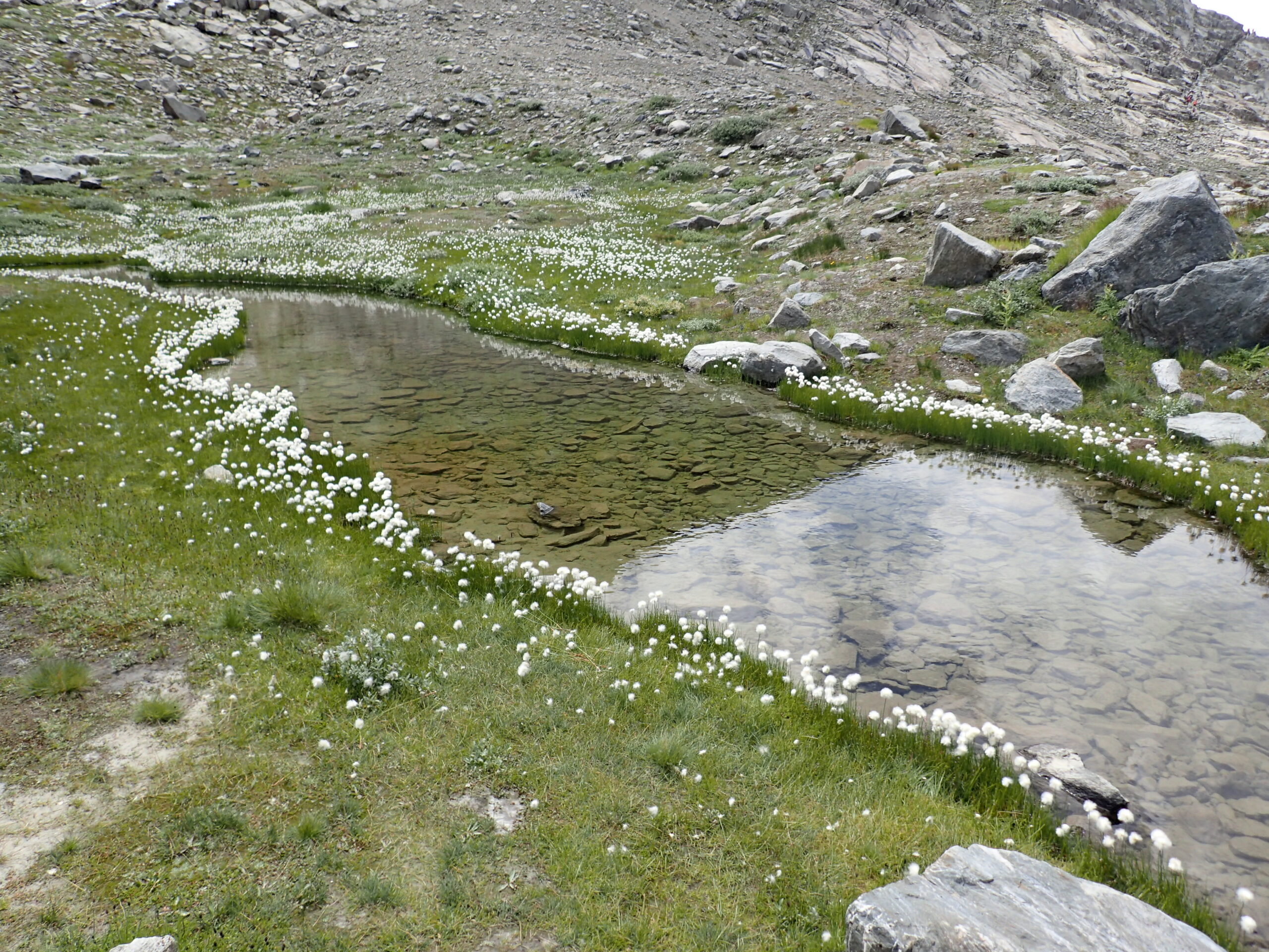 Sommer beim Mariellensee