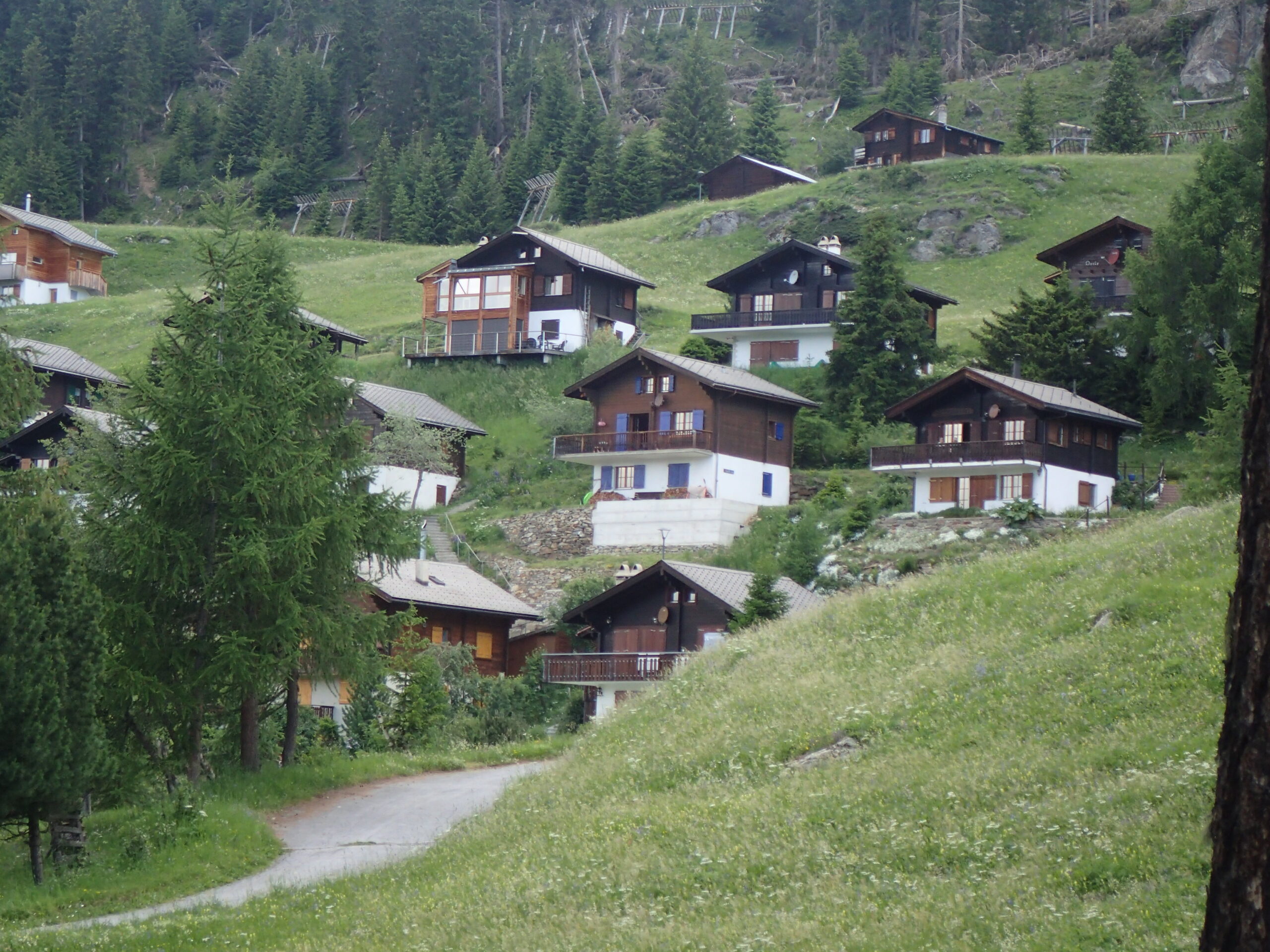 Blick auf die Chalets von unten