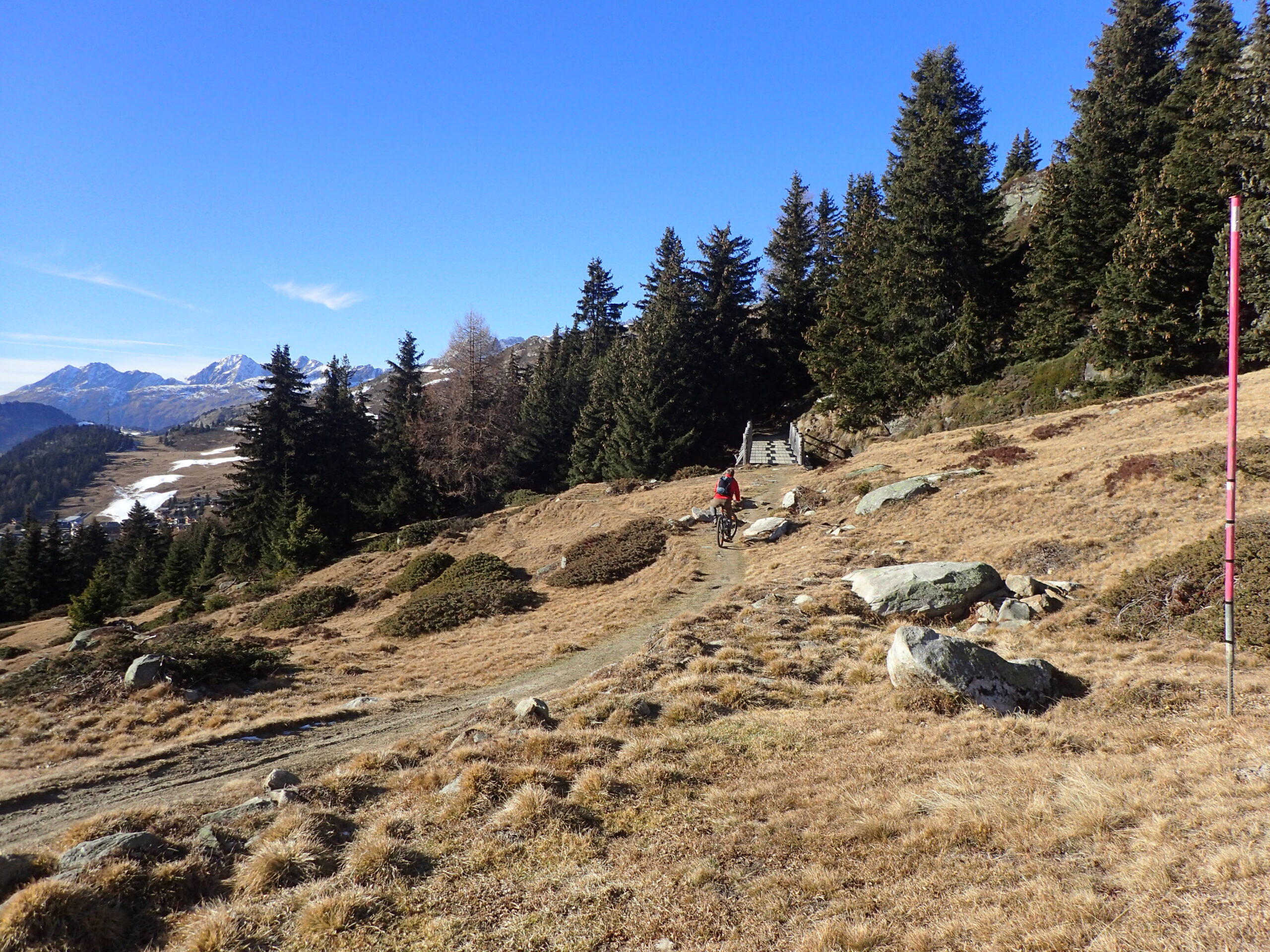 OLYMPUS DIGITAL CAMERA OLYMPUS DIGITAL CAMERA