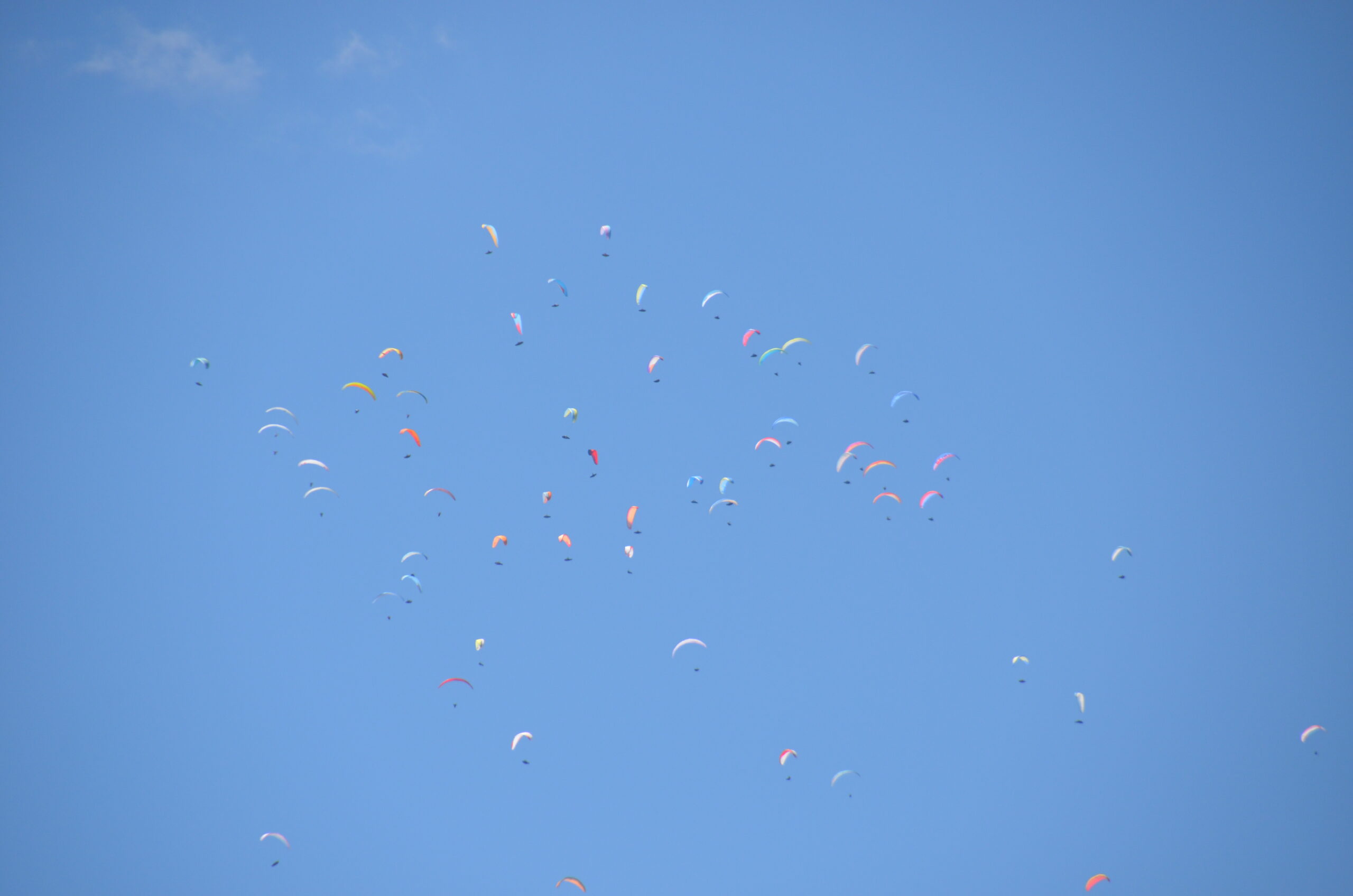 20200806_Riederalp_013 20200806_Riederalp_013