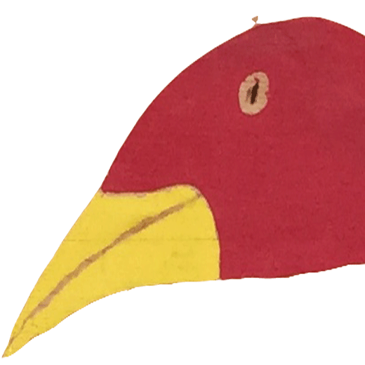 Moorvogel_Bird-square